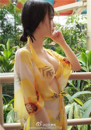 一只胖虎2分钟视频