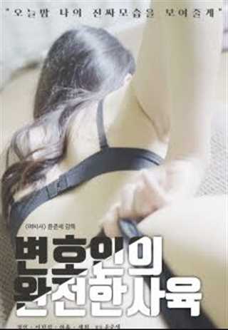 律师的全面培养