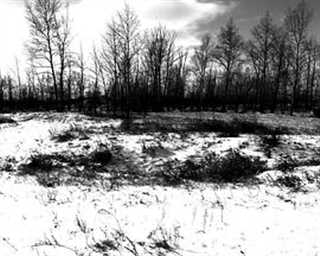 溃烂 愈合 掩藏