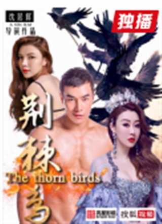 荆棘鸟