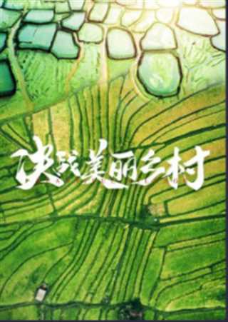 决战美丽乡村