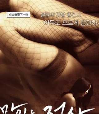 我的办公室老婆