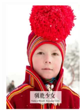 驯鹿少女