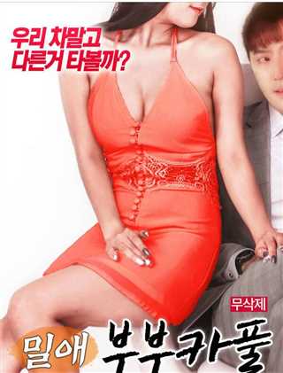 恋爱：已婚夫妇的拼车