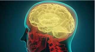 头脑解密/脑内解码