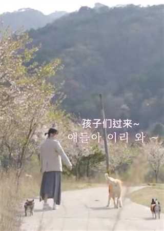 具惠善的宠物日记