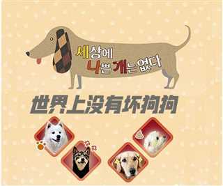 世界上没有坏狗狗