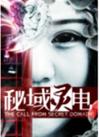 秘域灵电