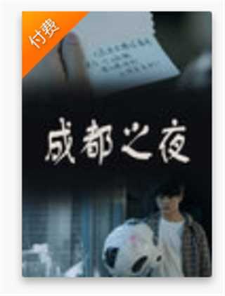 成都之夜