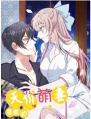 总裁的天价萌妻