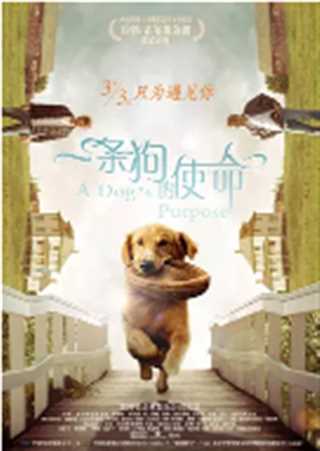 一条狗的使命