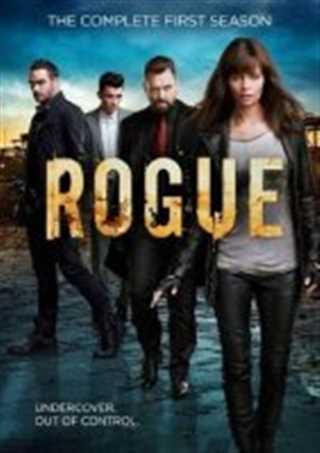 卧底情劫第四季