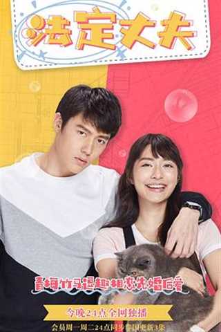 我的法定老公/法定丈夫