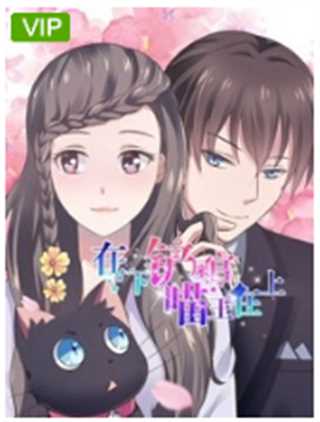 在下铲屎官：喵王在上