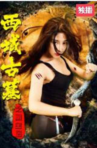 西域古墓之藏宝图