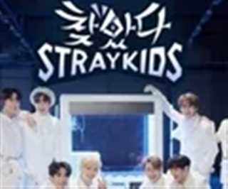 找到了StrayKids