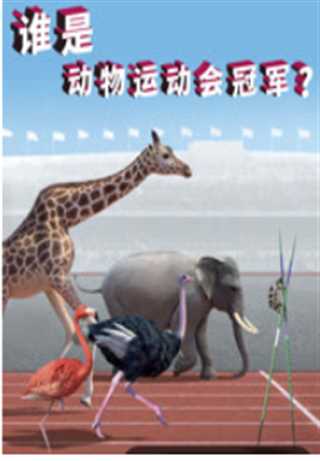 曜给西施做热身运动的视频