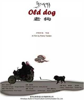老狗