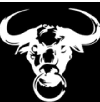 陪你到底之东斜西独