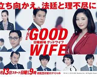 傲骨贤妻第一季