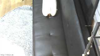 19+韩国美女VIP视频561