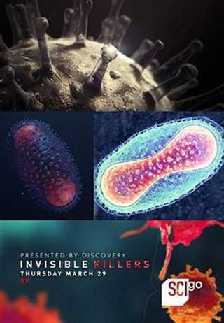 隐形杀手/杀手病毒