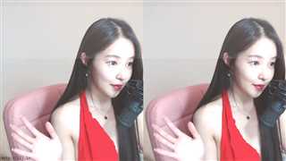 19+韩国美女VIP视频513