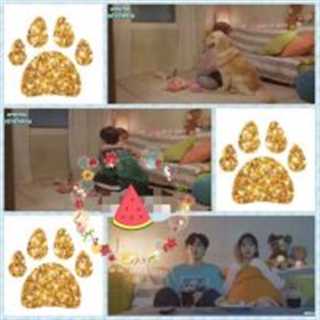 我这像dog一样的爱情