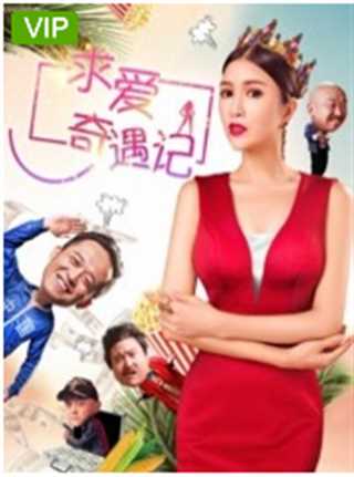 求爱奇遇记