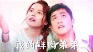 我的鲜肉弟弟