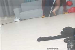 韩国美女激情VIP秀233