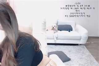 韩国美女激情VIP秀81