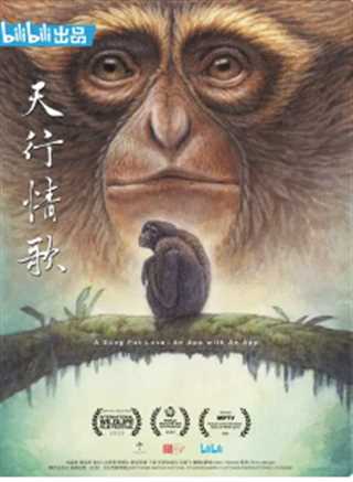 天行情歌