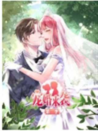 宠婚来袭第二季