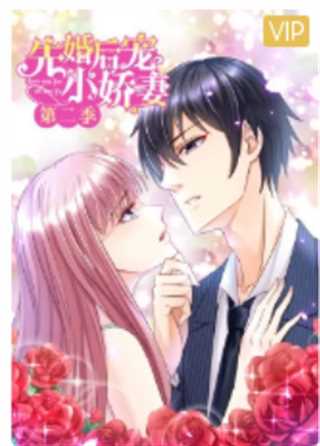 先婚后宠小娇妻 第2季