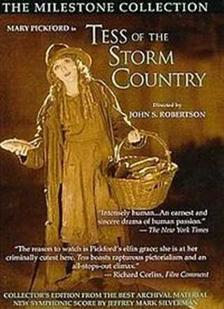 风暴之乡的苔丝