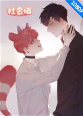 社会喵