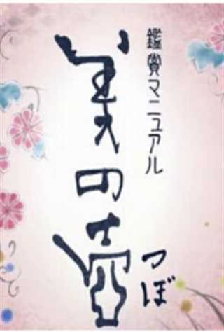 美之壶.宿主之门