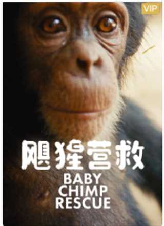 飓猩营救