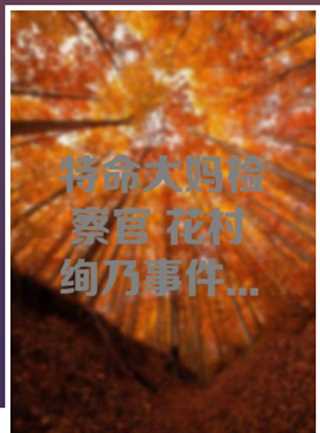 特命大妈检察官！花村绚乃事件簿4 沉默少女