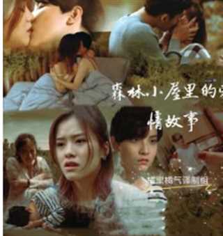 森林小屋里爱情故事（越南网剧）