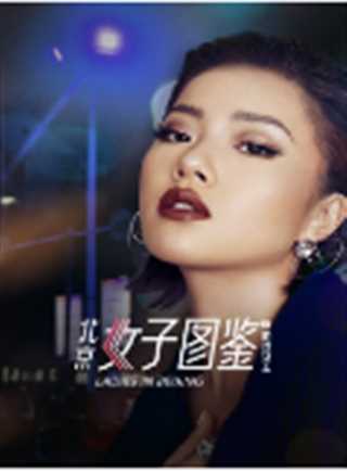 北京女子图鉴之助理女王