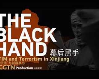 幕后黑手——“东伊运”与新疆暴恐