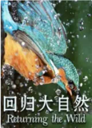 回归大自然