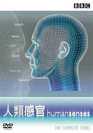 人类感官
