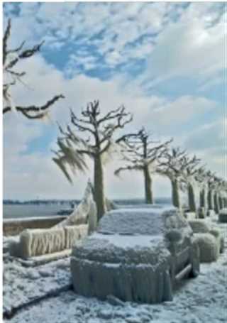 自然界怪奇事件