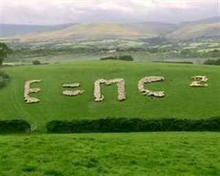 小动物大智慧第一季