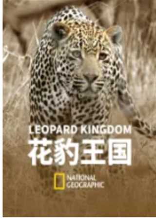 花豹王国