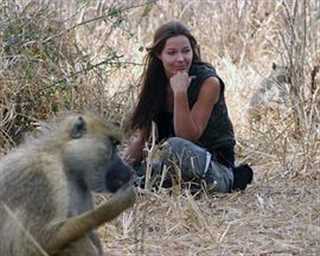 灵长类的秘密生活