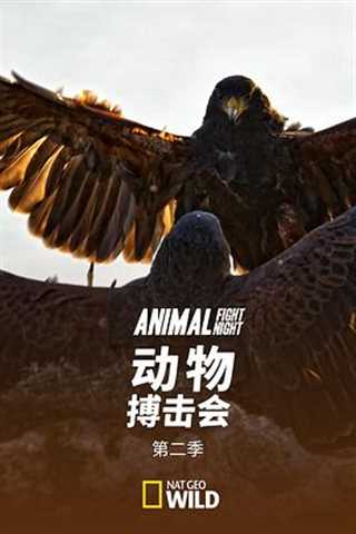 动物搏击会第二季